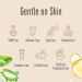 Natural Face Moisturizer with Aloe Niacinamide & Vitamin C - Anti-Aging Lotion to Reduce Fine Lines & Brighten Skin (2 fl oz - Buy Online on GoSupps.com