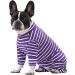 Ruiqas Dog Surgery Suit - Breathable Protection for Male & Female Dogs | Prevent Licking - XXL Violet Striped - Buy Online on GoSupps.com