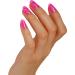 Bluesky Gel Nail Polish Set Pink Confetti Diamond Girl Blz44 Barbie Pink Blz04 Scarlett Red Blz35 3 x 5 ml Glitter (Requires Curing Under UV or LED Lamp) Pink Confetti 5.00 ml (Pack of 3) - Buy Online on GoSupps.com