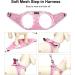 DORAMIO Step-in Dog Harness and Leash Set | XXS Pink | Soft Mesh Reflective Breathable Vest for Small Medium Dogs, Cats, Puppies - Buy Online on GoSupps.com