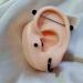 Akatsukiqi Soft Silicone Ear Model for Hearing Aids - Realistic 1:1 Human Ear Simulation Display - Ideal Teaching & Jewelry Display Tool (Clear Left 1PC) - Buy Online on GoSupps.com