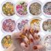 Onsinic 6 Box Nail Dried Flower Set | Mini Natural Dry Flowers for 3D Applique Nail Art Decoration & Fingernails Stickers - International Shipping Available - Buy Online on GoSupps.com