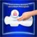 Always Sanitary Napkins Ultimate Night (Size 6) - 14 Wings for Maximum Comfort & Protection | International Shipping Available - Buy Online on GoSupps.com