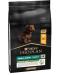 PRO PLAN Small & Mini Puppy with OPTISTART Rich in Chicken - 7 KG - Dry food for small breed puppies - Buy Online on GoSupps.com