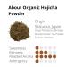 Buy Ocha & Co. Hojicha Powder | Organic Japanese Roasted Green Tea Latte | Low Caffeine Kukicha & Sencha Blend - 100g - Buy Online on GoSupps.com