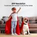 Pet Camera - 2K Indoor Security Camera  NGTeco Home Surveillance Cam with Motion Detection  Night Vision  Privacy Shield for Dog  Cat  Baby  Plug-in 3MP HD Small WiFi Cam Works with Alexa  Google 2K Mini Camera - Buy Online on GoSupps.com