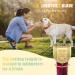 Adjustable Dog Grooming Clipper 5-in-1 Blade Compatible with WAHL Professional Animal Clipper Arco Bravura Chromado Creativa Figura and Motion Pet Dog and Horse (gold/2pc) - Buy Online on GoSupps.com