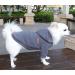 Hualisiji Hooded Sweater for Dogs | Lightweight & Warm Chihuahua Hoodie | Soft Dog Sweatshirt in Light Gray (L) - Buy Online on GoSupps.com