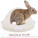 BESPORTBLE White Small pet Toilet cat Toilet Indoor Bunny Potty Tray Indoor pet Potty for Dogs abs 25.00X19.00X10.00CM White - Buy Online on GoSupps.com