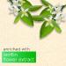 DOPICT Pears Pure & Gentle Shower Gel - Oil Clear Body Wash with Lemon Flower Extracts 500ml - 100% Soap Free Imported - Buy Online on GoSupps.com