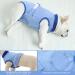 Convinite Recovery Suit for Dogs | Breathable Wound Protection After Castration | Male & Female Dog Body Suit | Adjustable Blue - Buy Online on GoSupps.com