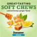 Dramamine Ginger Chews - Lemon Honey Ginger Flavor (20 Soft Chews) | Nausea Relief - Buy Online on GoSupps.com