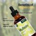Mullein Leaf Liquid Extract 4 Fl Oz - Lung Cleanse and Detox Tincture for Respiratory Health - Immune Support Drops - Natural Supplement - Buy Online on GoSupps.com