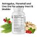Youth & Tonic Kidney Cleanse Detox - 60 Capsules for Urinary Tract & Bladder Health - Buy Online on GoSupps.com