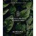 Bursera Scented Candle - Desert Rose | Eco-Friendly Soy Candle | Tree Planted with Every Order | 45hr Burn Time | Aromatherapy & Non-Toxic - Buy Online on GoSupps.com
