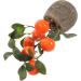 3pcs Simulated Kumquat Decor Indoor Plants Artificial Plants Greenery Desktop Adornments Faux Plant Household Fake Bonsai Potted Plants Fake Bonsai Ornaments Fake Fruit Tree Office As Shownx3pcs 9.5x9.5x26.5cmx3pcs - Buy Online on GoSupps.com