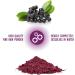 Aronia Juice Powder | Antioxidant Superfood | Non-GMO Gluten Free Raw & Water Soluble | Rich in Vitamins A C E Calcium & Iron - Buy Online on GoSupps.com