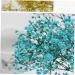 2pcs Plant Decor Gifts Dried Flowers The Gift Dried Flower Decor Creative Preserved Flower Preserved Flower Decor Romantic Preserved Flower Artificial Gypsophila Bluex2pcs 60X20cmx2pcs - Buy Online on GoSupps.com