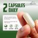 Adaptogenic Mushrooms with Cordyceps & Rhodiola Daily Blend with Zinc, Selenium & Boron Vegan Mushroom Capsules Supplement for Active Lifestyles No Fillers or Additives 60 Count - Buy Online on GoSupps.com