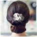 FRCOLOR Golden Hair Comb Hair Accessories for Women Flower Headpiece Side Hair Comb with Floral Pattern Hair Accessories for Women Wedding Hair Side Comb Flower Hair Side Comb Bridal Hair Comb - Buy Online on GoSupps.com