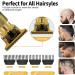 GASLIKE Hair Clippers for Men - Professional Beard Trimmer with T-Blade Outliner Edgers, Cordless Low Noise Men's Grooming Tool - Perfect Gift for Barbers, Zero Gapped Trimmers - Buy Online on GoSupps.com