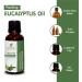 Eucalyptus Oil -(Eucalyptus Globulus)- Essential Oil 100% Pure Natural Undiluted Uncut Therapeutic Grade Oil 16.90 Fl.OZ 16.90 Fl Oz (Pack of 1) - Buy Online on GoSupps.com