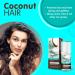 Dr. Sant Coconut Hair Oil - Moisturizing Oil for Dry & Brittle Hair | 50 ml (1.69 fl. oz) - Shop Internationally - Buy Online on GoSupps.com