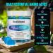 NATISLAND HMB and L-Leucine Gummies HMB and Leucine Amino Acid Supplements for Men & Women Muscle Mass & Strength Muscle Recovery & Health Sugar-Free Vegan Blueberry Flavor 60 Count - Buy Online on GoSupps.com