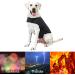 Wingfly Dog Calming Vest | Anxiety Relief Shirt for Dogs | Stress-Free Pet Jacket (M Gray) - Buy Online on GoSupps.com