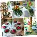 TOPBATHY Personalized Gifts 48pcs Household Decorative Items Personalised Gifts Green Medium - Buy Online on GoSupps.com