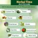 Herbal Time Phytocare 3N Bitter Chocolate - Professional Natural Hair Color | Ammonia-Free PPD-Free SLS-Free Paraben-Free | Nourishes & Protects Hair | International Shipping Available - Buy Online on GoSupps.com