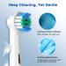 REDTRON Replacement Brush Heads for Oral B Electric Toothbrush (8 Pcs) - Compatible with Pro1000, Pro3000, Pro5000, Pro7000 and More - Precision Clean Toothbrush Heads in White - Buy Online on GoSupps.com