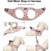 Doramio Step-In Dog Harness for Small Dogs & Cats - Reflective Breathable Safety with Leash - Anti-Training Harness in Champagne (M) - Buy Online on GoSupps.com
