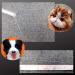 50 White Animal Whiskers for Crafts - Needle Felting Supplies - Buy Online on GoSupps.com