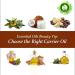 R V Essential Pure Rosehip Seed Oil 10ml - 100% Pure Cold-Pressed Carrier Oil for Skin & Hair - Buy Online on GoSupps.com