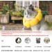 Adjustable IOSPKKIO SCNORCHRAUSE Cat Collar - Soft Sunflower Recovery Cone for Cats & Small Dogs After Surgery - Buy Online on GoSupps.com