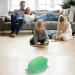 JUNERAIN Super Soft Frog Plush Stuffed Animal 30cm Emerald Green - Adorable Hugging Pillow Toy for Kids, Toddlers, Girls, Boys - Cuddly Frog Decoration - Buy Online on GoSupps.com