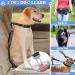 Vobuke Jogging Leash for Dogs - Shock Absorption Adjustable Reflective Belly Belt Car Safety Carabiner - Ideal for Small & Medium Dogs Up to 177lbs - Blue - Buy Online on GoSupps.com