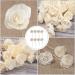 Angoily Rattan Diffuser Sticks - 8 Natural Reed Sticks for Essential Oils | Aromatherapy & Home Fragrance Replacement - Buy Online on GoSupps.com