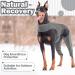Buy Hjyokuso Dogebody After Op Suit - Wound Protection Bodysuit for Dogs | XL Gray | Anti-Licking E-Collar Alternative - Buy Online on GoSupps.com
