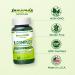 INNERVISNUTRITION Bioactive B Complex with Active B12 & Folate Supports Energy, Brain & Nerve Health, 60 Vegan Capsules - Buy Online on GoSupps.com