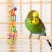 Pinenuts 4 Pack Bird Shredding Budgies Toys Parrots Chewing Hanging Foraging Toys Parrot Cage Shredder Toys Birds Cage Accessories for Small Parrots Parakeets Conures Love Birds Finches - Buy Online on GoSupps.com