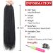 Xtrend 8 Packs 18 Inch Box Braids Crochet Hair | Medium Knotless Pre-looped Synthetic 3X Braiding Hair Extension for Women | 18Strands/pack 1B | Pack of 8 - Buy Online on GoSupps.com