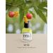 EYFEL Perfumes for Women W52 PARIS Eau de Parfum Spray Women's Fragrances EDP 50 ml / 1.76 FL. OZ. - Buy Online on GoSupps.com
