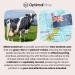 Optimal Prime MUUU Bovine Colostrum Powder - Superfood for Gut Health Immune Support & Beauty | 120 Servings Unflavored - Buy Online on GoSupps.com