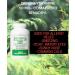 Diphenhydramine HCl 50mg 1000 Capsules, Allergy Relief, Cold & Cough - Compare to BENADRYL - Buy Online on GoSupps.com