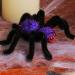 Halloween Spider Pins Halloween Spider Barrettes Hairpins | Spider Barrettes Halloween Hair Accessories for Family Friends Women Purple - Buy Online on GoSupps.com