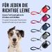 High-Quality 5m Cong Roll-Out Dog Leash for Large Dogs up to 50kg | Soft Handle & Reflective Belt | Break & Lock System | Comfortable & Durable | Gray - Buy Online on GoSupps.com