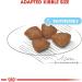 ROYAL CANIN SHN Mini Starter Mother & Babydog Dry Dog Food 4 kg - Buy Online on GoSupps.com
