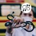 Buy 2 Sets Stethoscope Accessories - Soft-Sealing Ear Tips & Earbud Replacements for Doctors | International Shipping - Buy Online on GoSupps.com